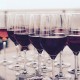 increase-winery-profits